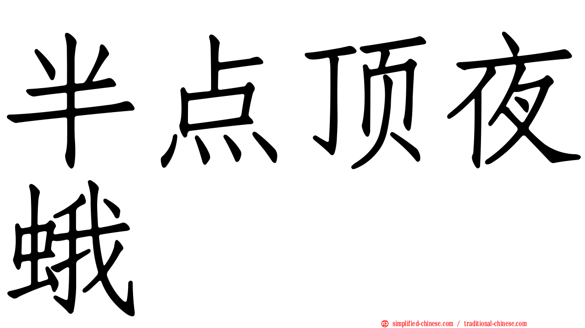 半点顶夜蛾