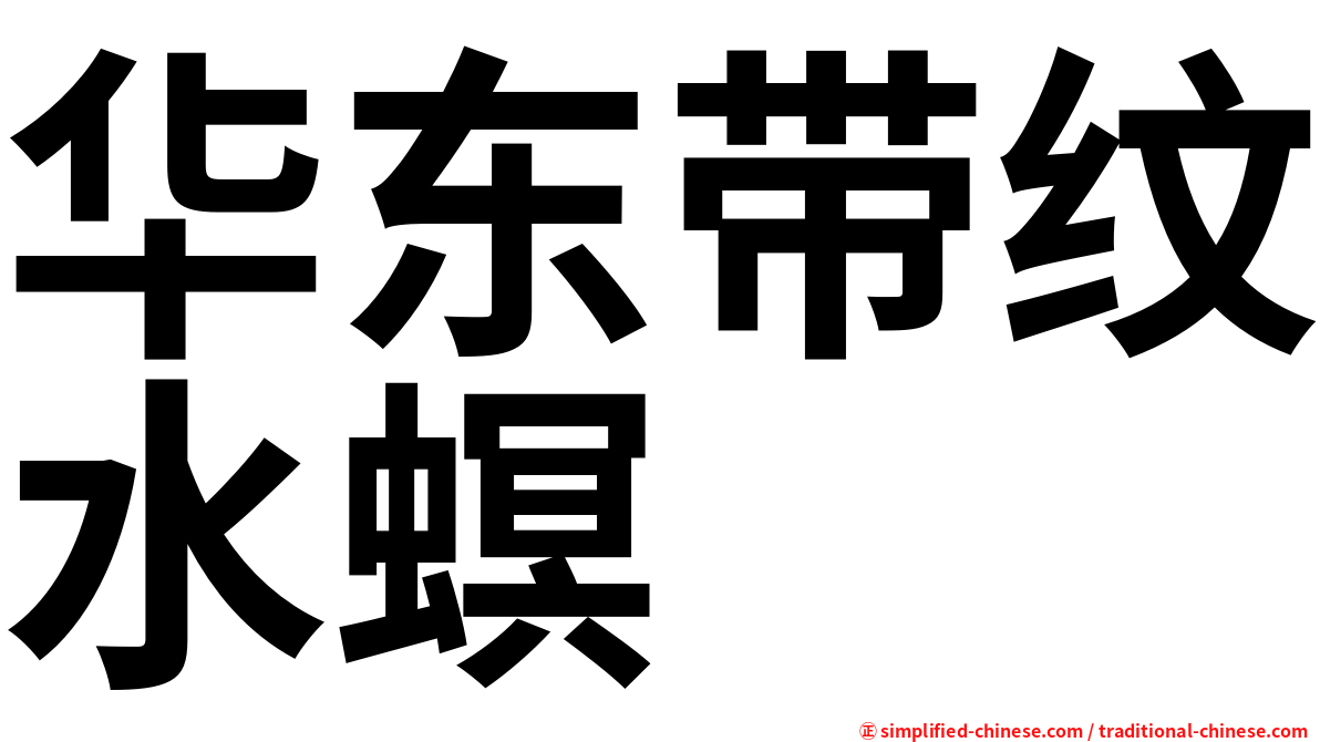 华东带纹水螟