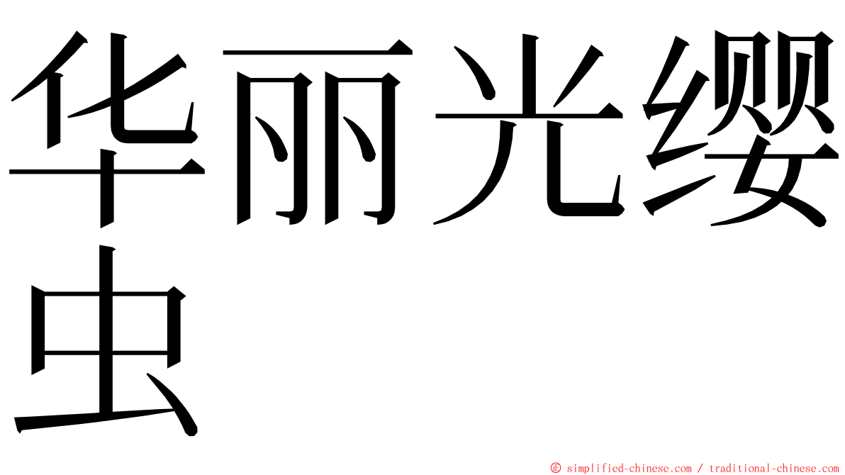 华丽光缨虫 ming font