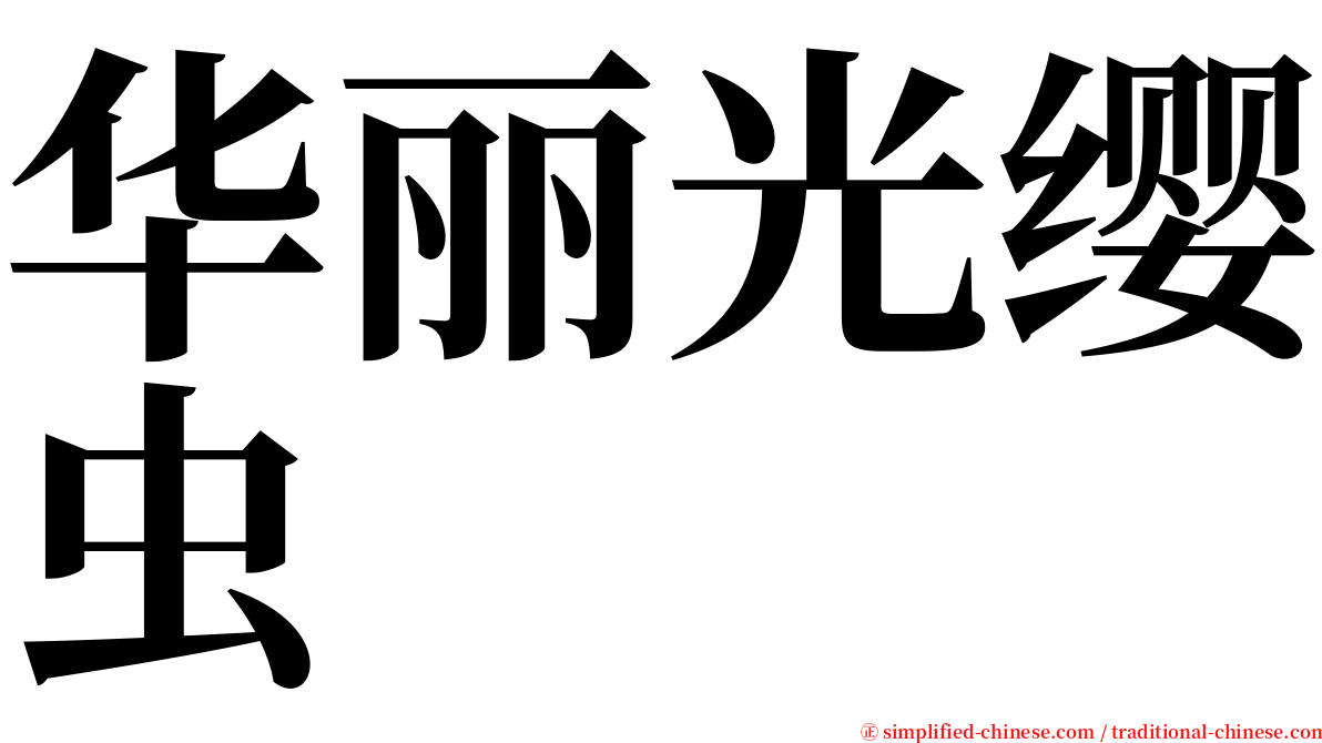 华丽光缨虫 serif font