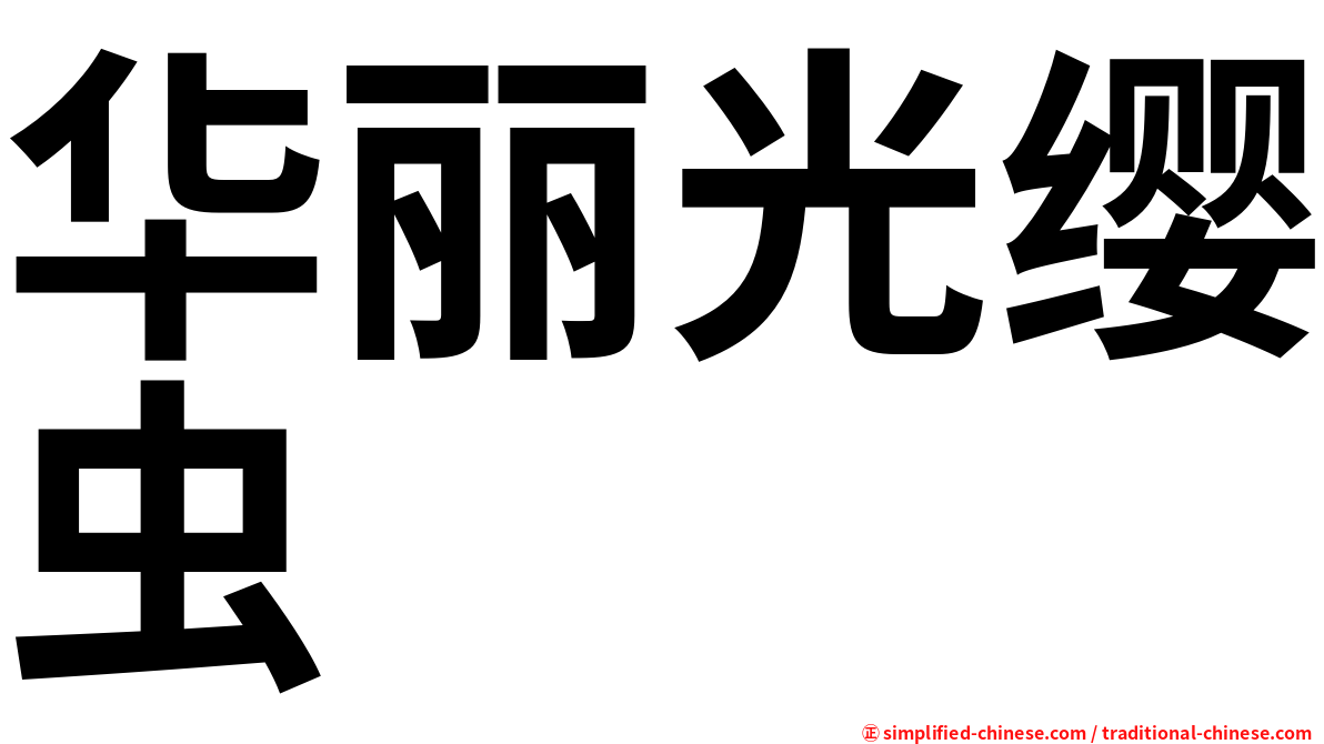 华丽光缨虫