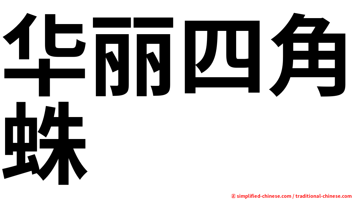 华丽四角蛛