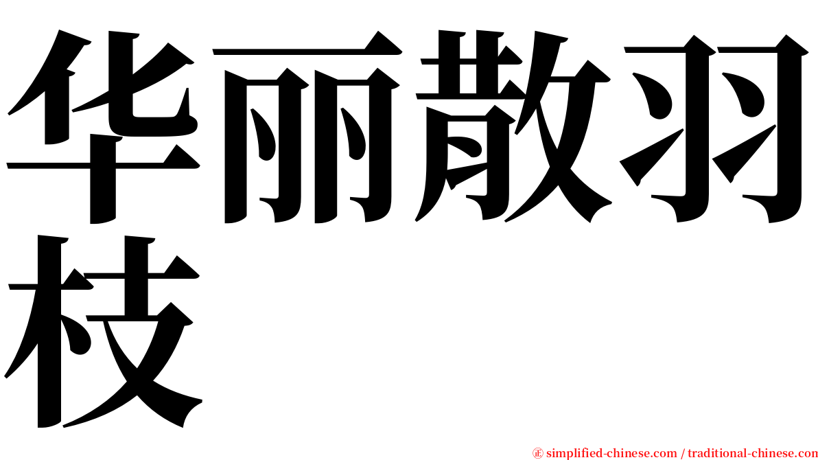 华丽散羽枝 serif font