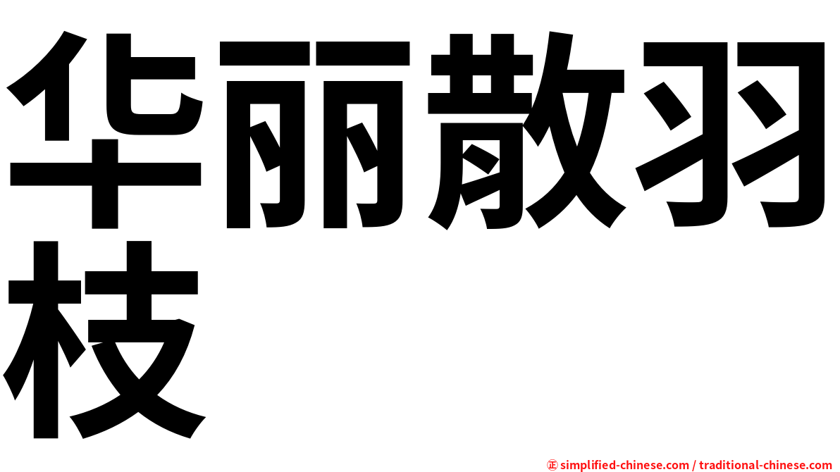 华丽散羽枝