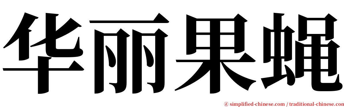 华丽果蝇 serif font