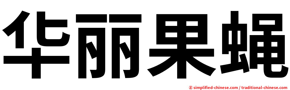 华丽果蝇