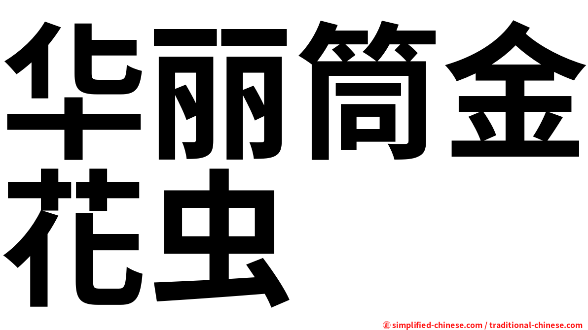 华丽筒金花虫