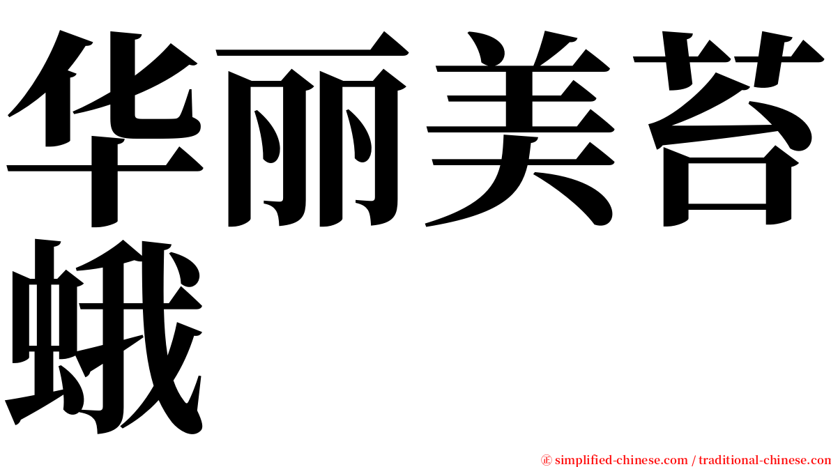 华丽美苔蛾 serif font