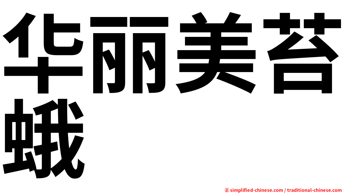 华丽美苔蛾