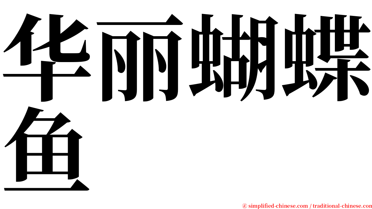 华丽蝴蝶鱼 serif font