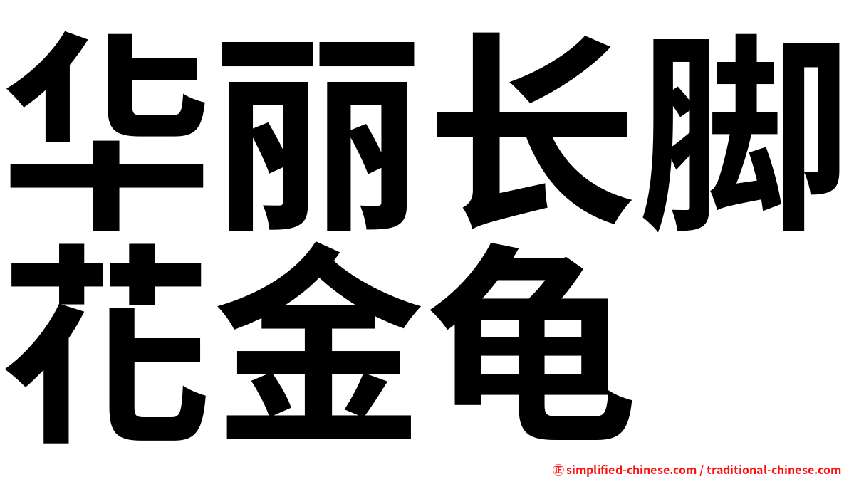 华丽长脚花金龟