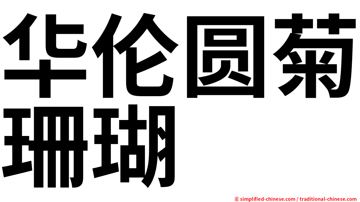 华伦圆菊珊瑚