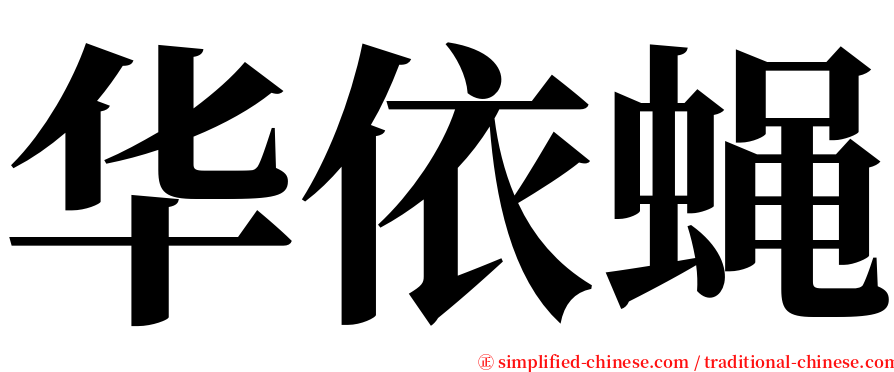 华依蝇 serif font