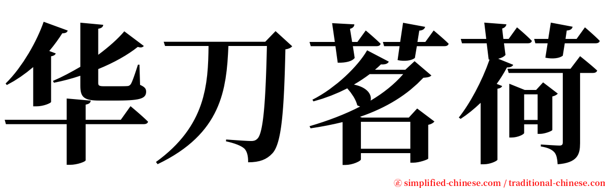 华刀茗荷 serif font