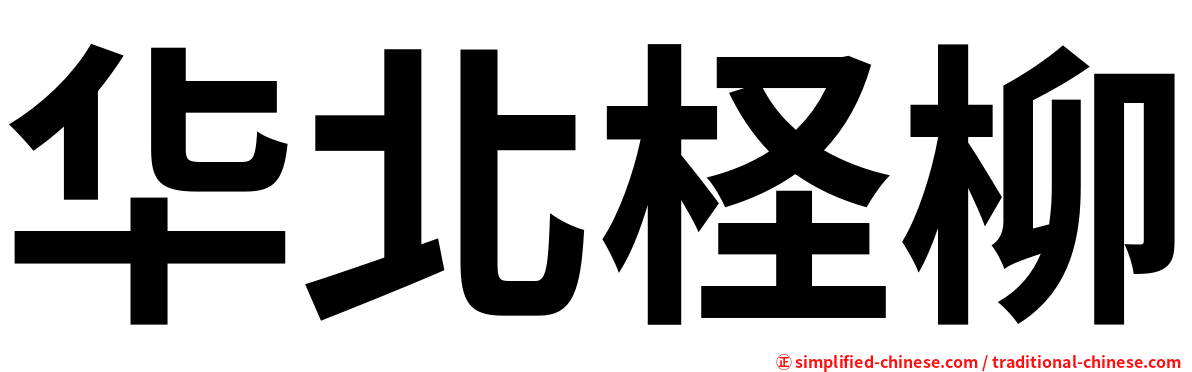 华北柽柳