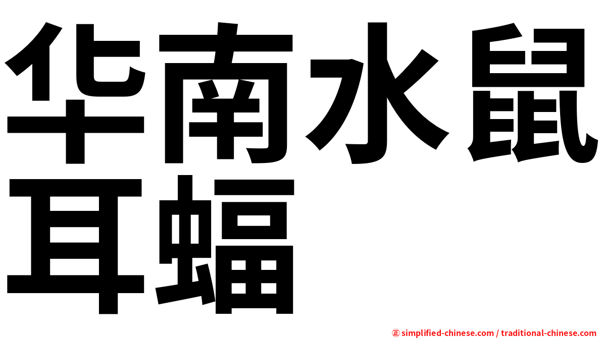华南水鼠耳蝠