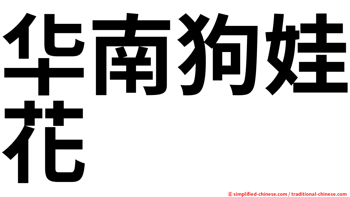华南狗娃花