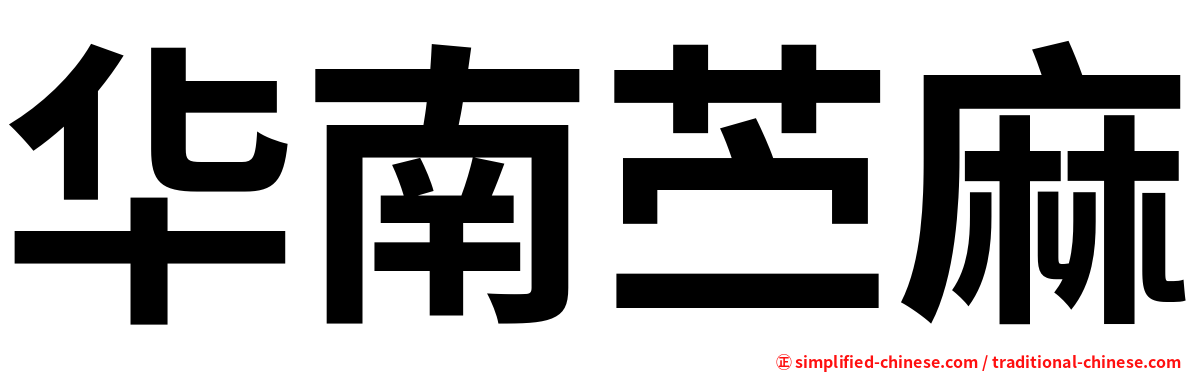 华南苎麻