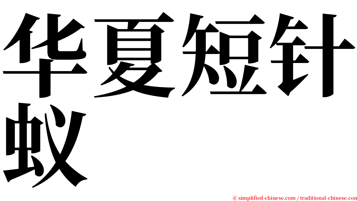 华夏短针蚁 serif font