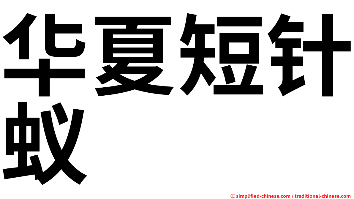 华夏短针蚁