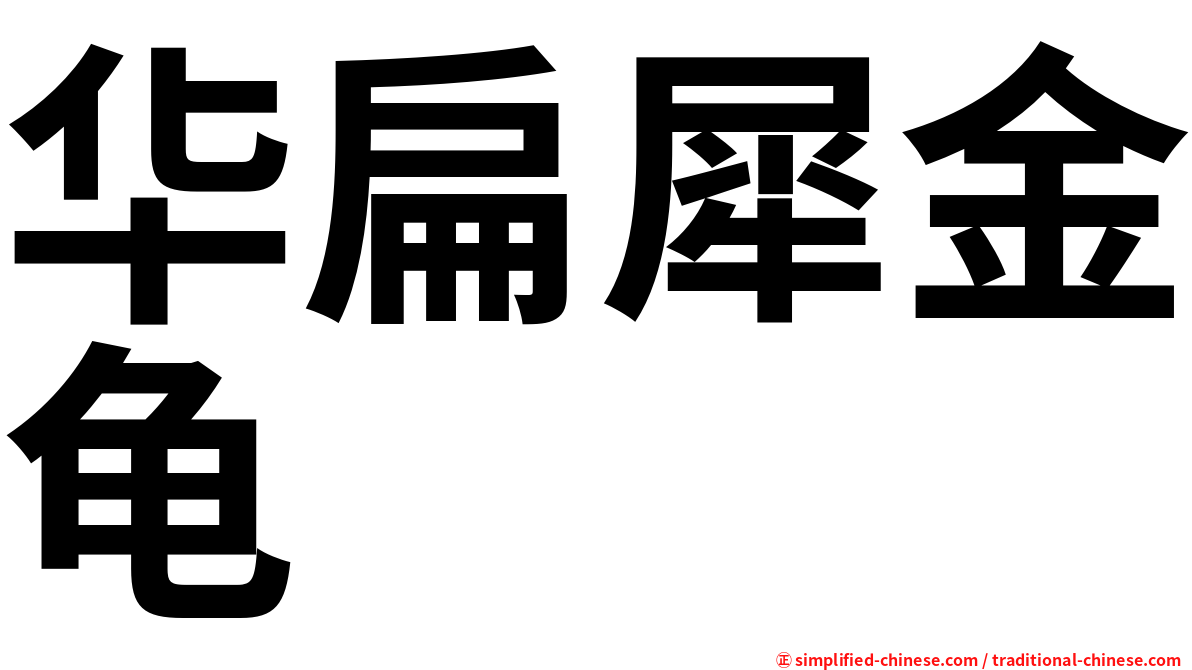 华扁犀金龟