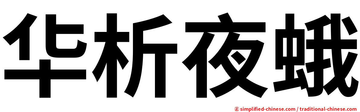 华析夜蛾