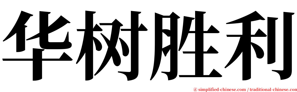 华树胜利 serif font