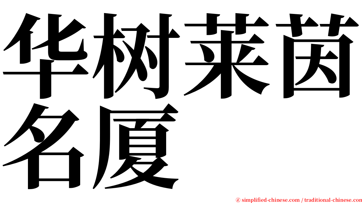 华树莱茵名厦 serif font
