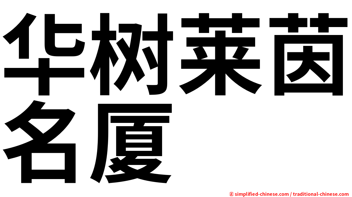 华树莱茵名厦
