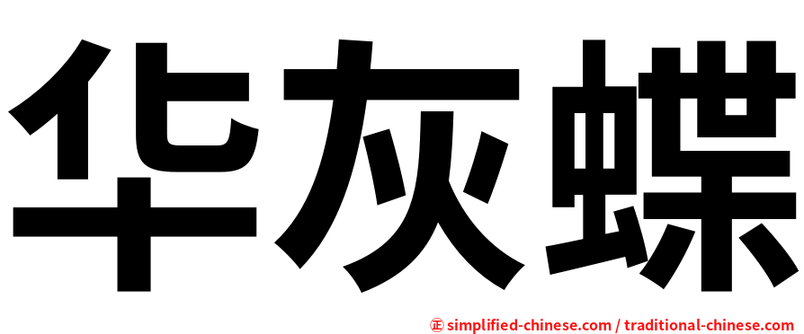 华灰蝶