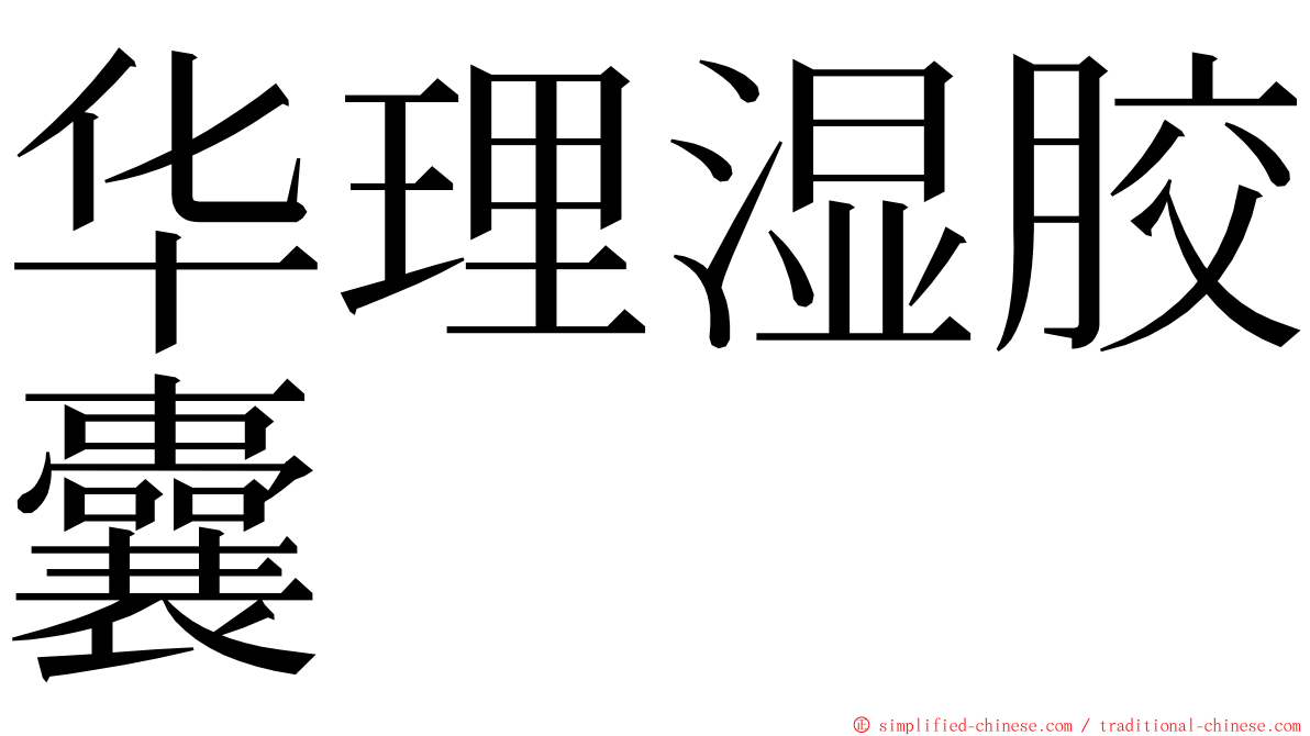 华理湿胶囊 ming font