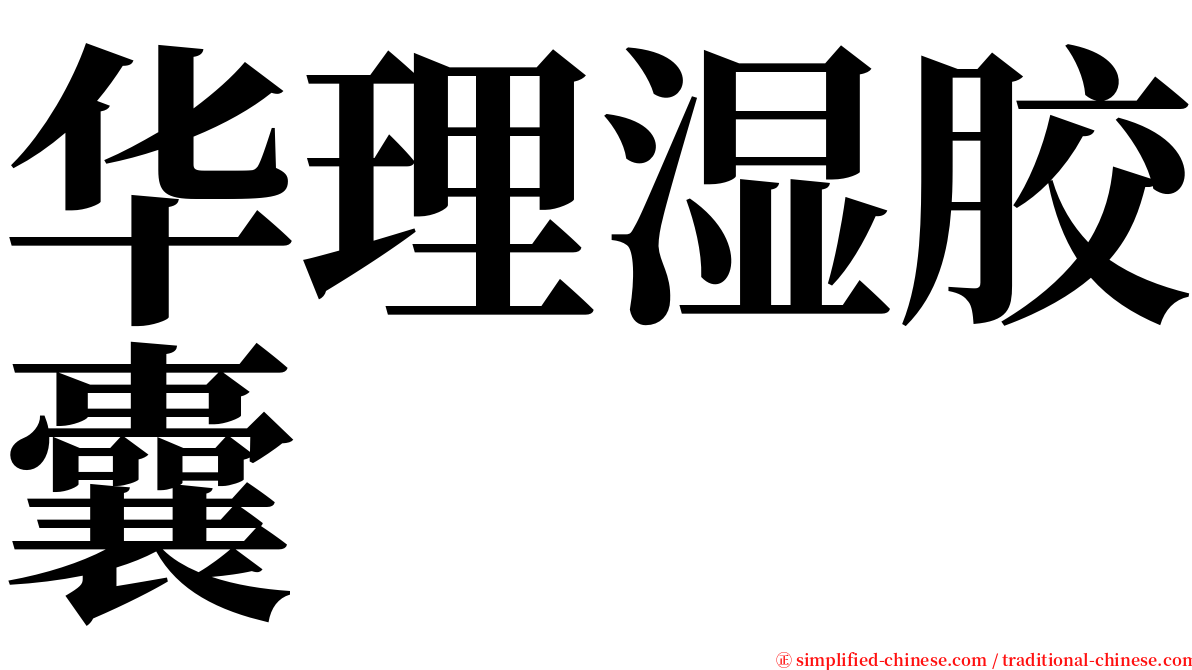华理湿胶囊 serif font