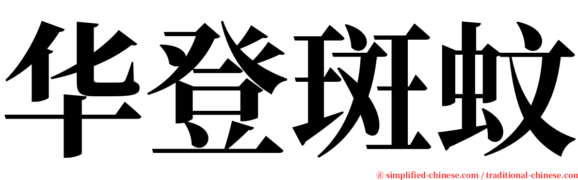 华登斑蚊 serif font