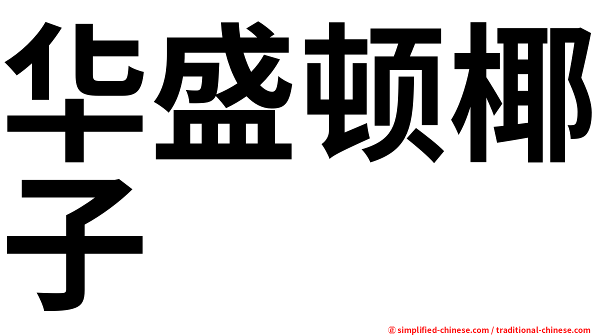 华盛顿椰子