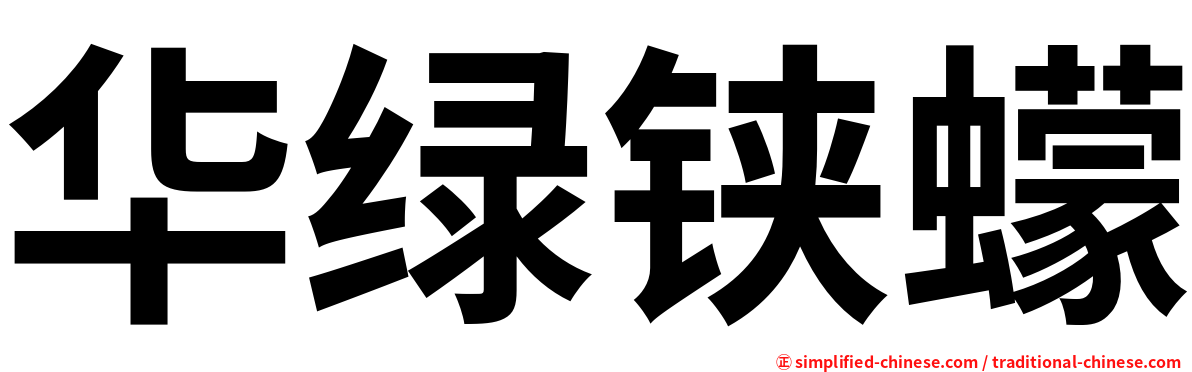 华绿铗蠓