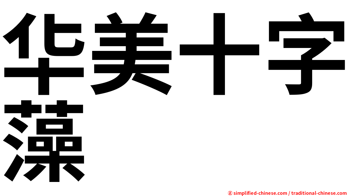 华美十字藻
