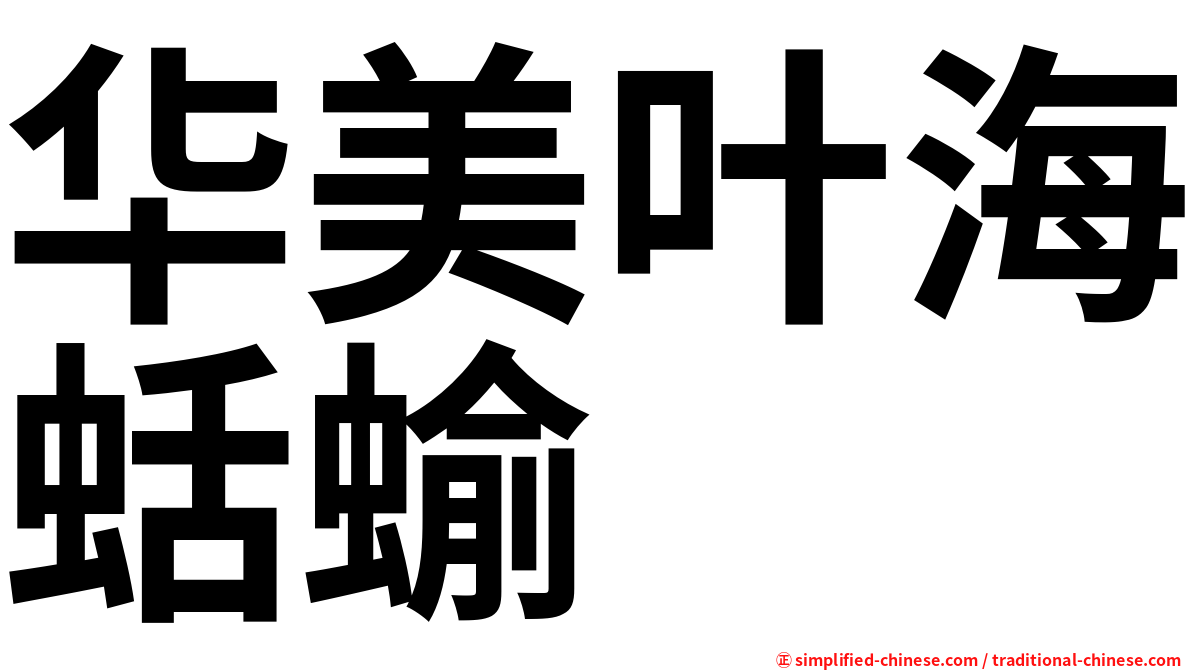 华美叶海蛞蝓