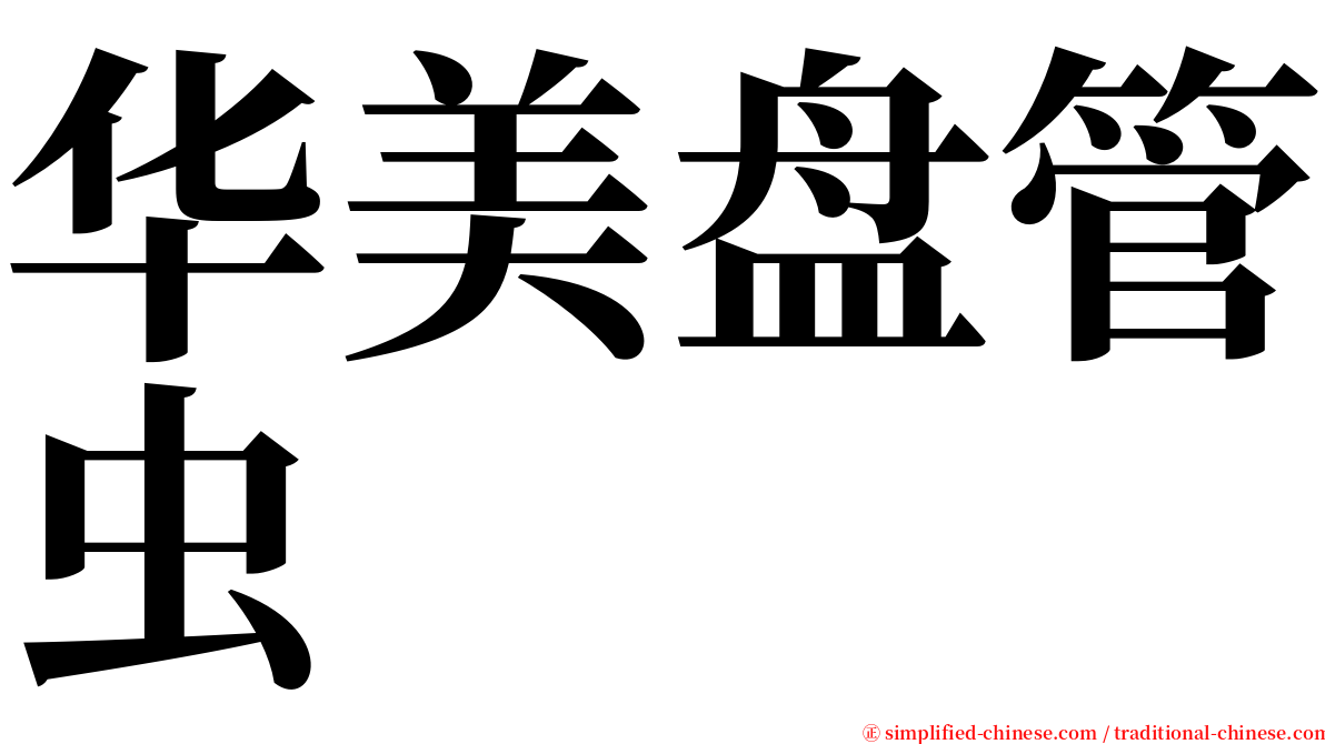 华美盘管虫 serif font