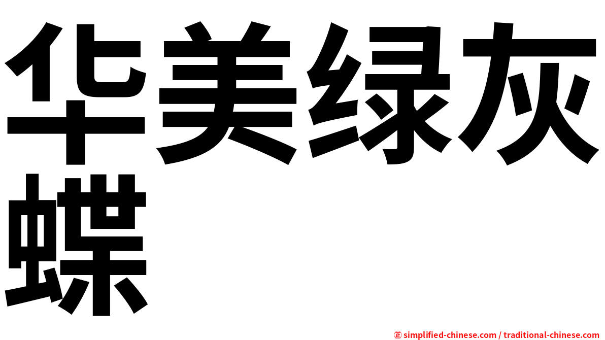 华美绿灰蝶