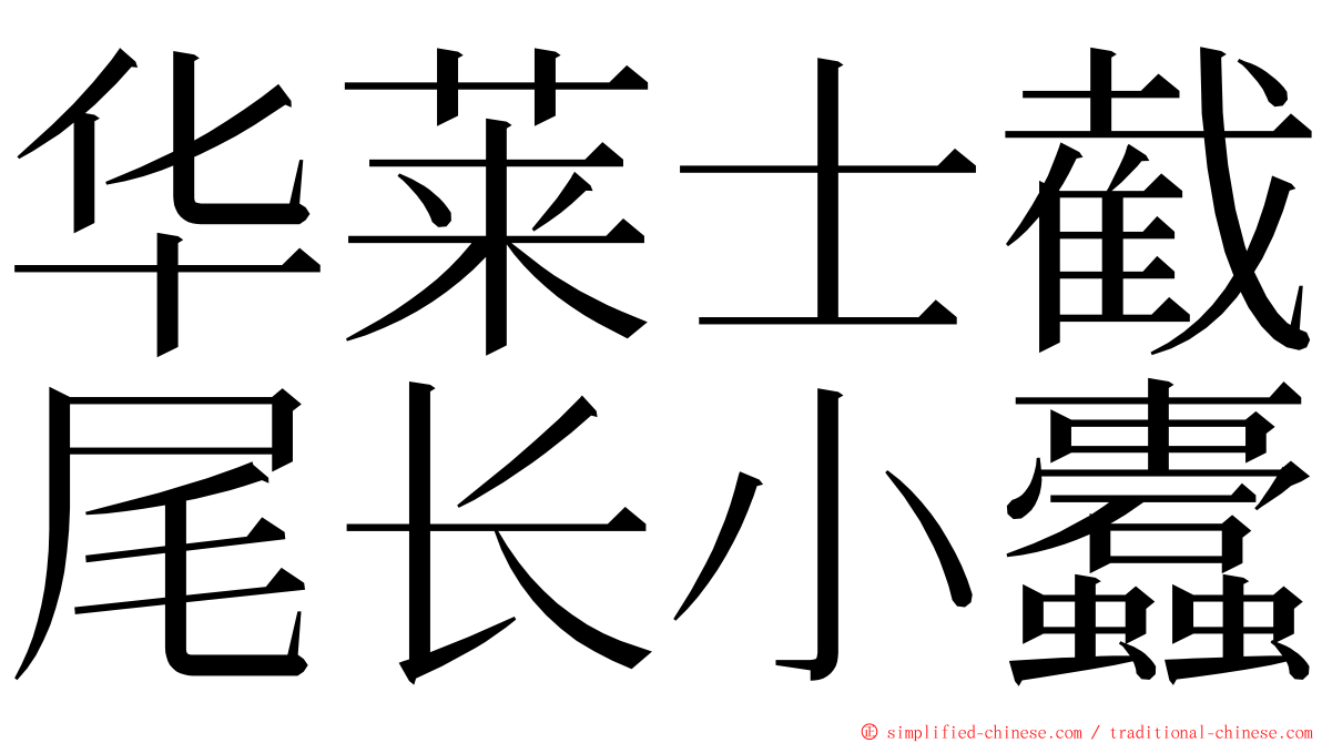 华莱士截尾长小蠹 ming font