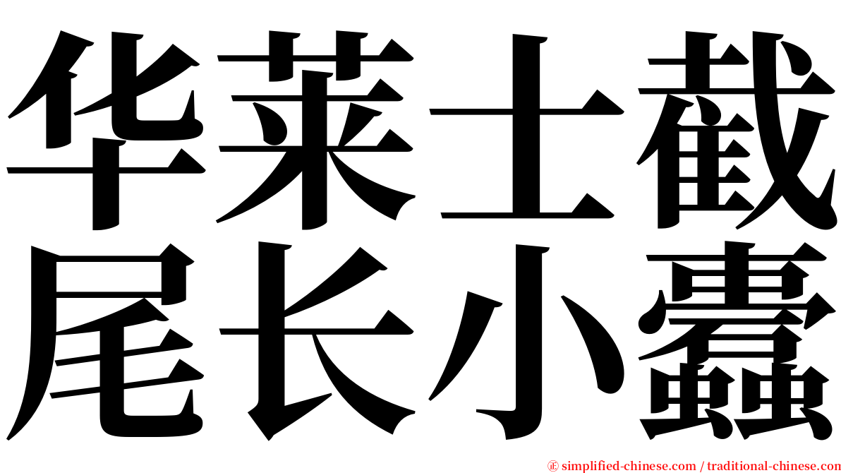 华莱士截尾长小蠹 serif font