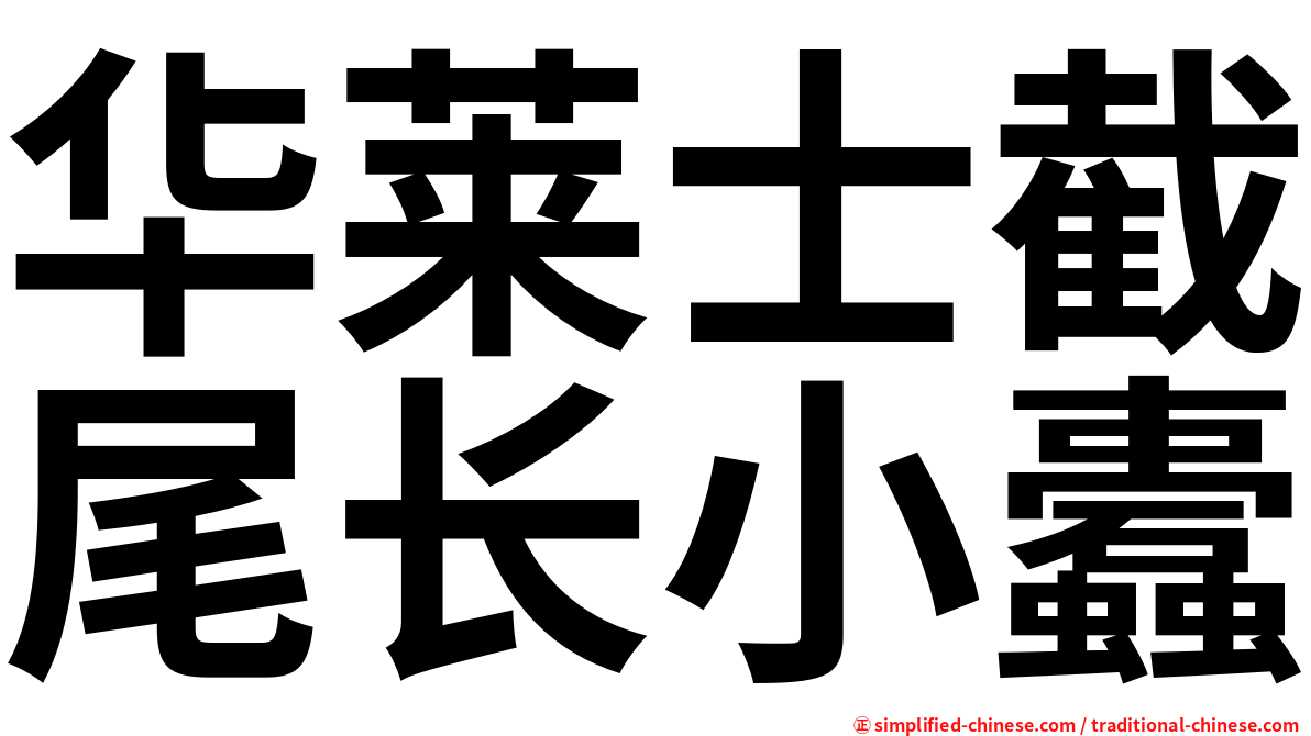 华莱士截尾长小蠹