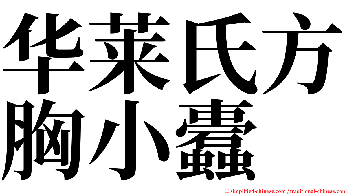 华莱氏方胸小蠹 serif font