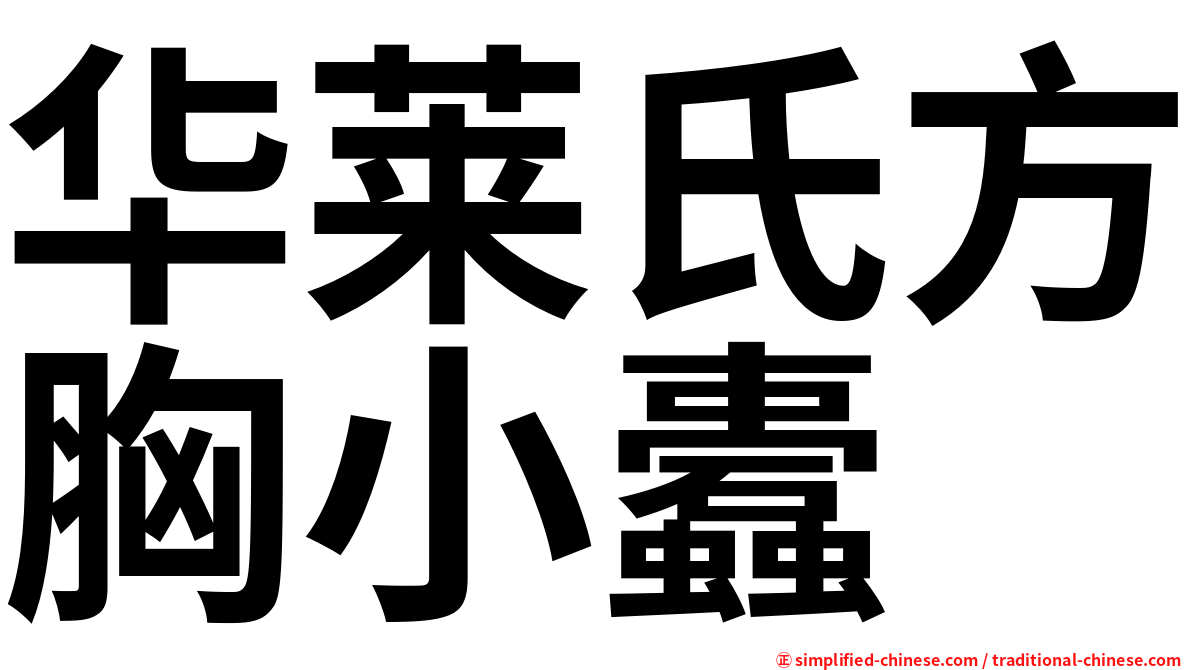 华莱氏方胸小蠹