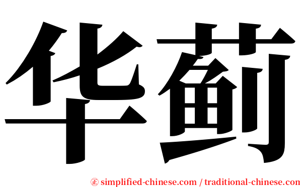 华蓟 serif font
