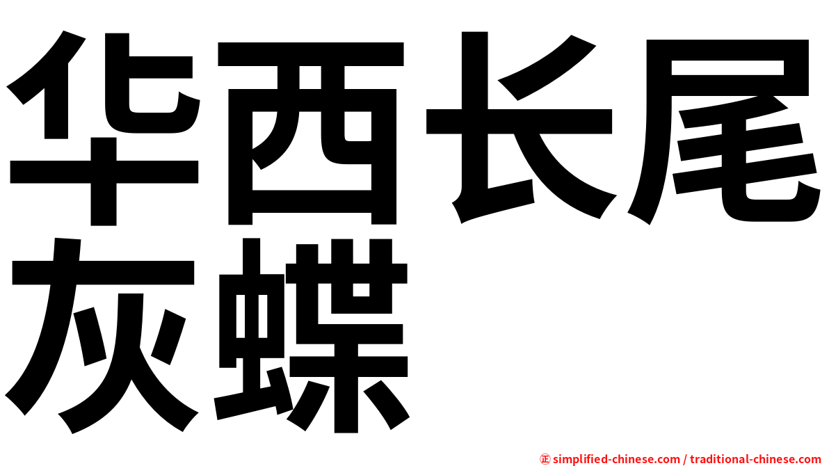 华西长尾灰蝶