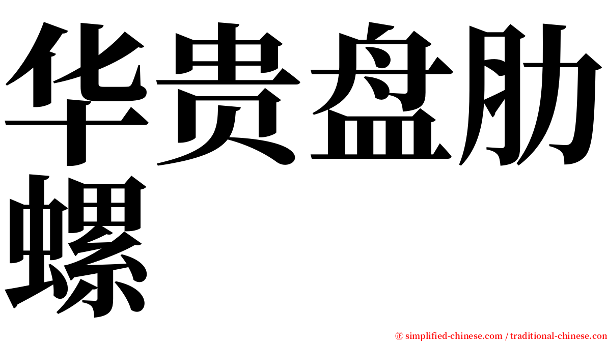 华贵盘肋螺 serif font