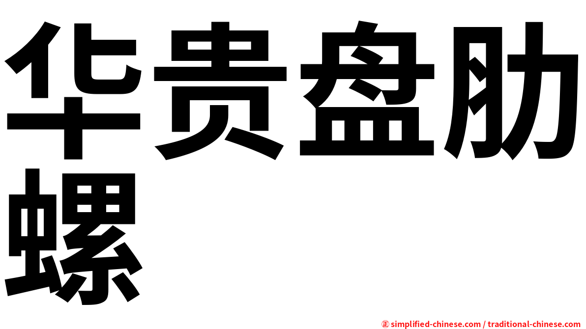 华贵盘肋螺