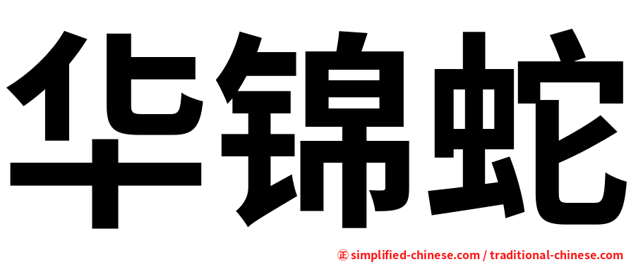 华锦蛇