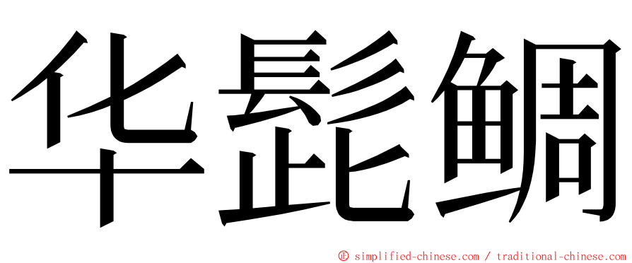华髭鲷 ming font